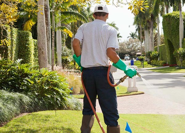 About Cisco GA Pest Control Pros